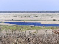 RO, Tulcea, Somova, Dunarea floodplain 2, Saxifraga-Tom Heijnen