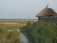 NL, Friesland, Dongeradeel, Ezumakeeg 4, Saxifraga-Jan van der Straaten