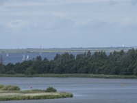 NL, Friesland, Noardeast-Fryslan, Lauwersmeer 33, Saxifraga-Willem van Kruijsbergen