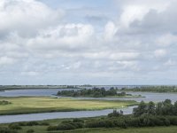 NL, Friesland, Noardeast-Fryslan, Lauwersmeer 34, Saxifraga-Willem van Kruijsbergen