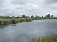 NL, Friesland, Noardeast-Fryslan, Lauwersmeer 36, Saxifraga-Willem van Kruijsbergen