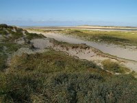 NL, Noord-Holland, Texel, Slufterbollen 2, Foto Fitis-Sytske Dijksen