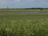 NL, Noord-Holland, Texel, Waal en Burg 6, Saxifraga-Jan van der Straaten