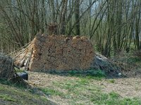 NL, Noord-Brabant, Altena, Spieringpolder 7, Saxifraga-Jan van der Straaten