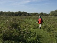 NL, Noord-Brabant, Bergen op Zoom, Hildernisse 1, Saxifraga-Jan van der Straaten