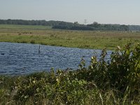 NL, Noord-Brabant, Bergen op Zoom, Hildernisse 10, Saxifraga-Jan van der Straaten