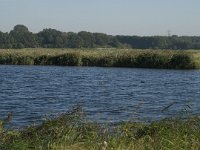 NL, Noord-Brabant, Bergen op Zoom, Hildernisse 9, Saxifraga-Jan van der Straaten