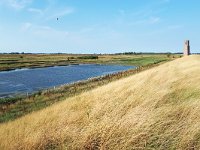 NL, Zeeland, Schouwen-Duiveland, Plompe Toren 2, Saxifraga-Tom Heijnen