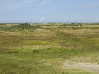 NL, Zuid-Holland, Goeree-Overflakkee, Kwade Hoek 47, Saxifraga-Willem van Kruijsbergen