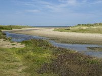 NL, Zuid-Holland, Goeree-Overflakkee, Kwade Hoek 52, Saxifraga-Willem van Kruijsbergen