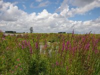 NL, Zuid-Holland, Korendijk, Tiengemeten 5, Foto Fitis-Sytske Dijksen