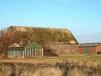 NL, Zuid-Holland, Korendijk, Tiengemeten, Middenpolder 2, Saxifraga-Jan van der Straaten