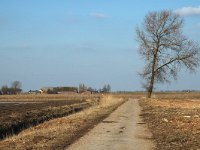 NL, Zuid-Holland, Korendijk, Tiengemeten, Middenpolder 3, Saxifraga-Jan van der Straaten