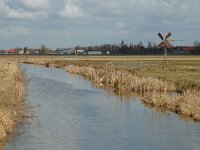 NL, Zuid-Holland, Strijen, Het Oudeland van Strijen 5, Saxifraga-Jan van der Straaten