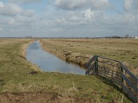 NL, Zuid-Holland, Strijen, Het Oudeland van Strijen 6, Saxifraga-Jan van der Straaten