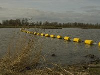 NL, Noord-Brabant, Altena, Maltha 10, Saxifraga-Jan van der Straaten