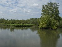 NL, Noord-Brabant, Drimmelen, De Dood 8, Saxifraga-Jan van der Straaten