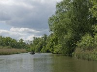 NL, Noord-Brabant, Drimmelen, Gat van de Plomp 12, Saxifraga-Jan van der Straaten