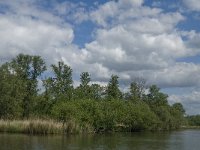 NL, Noord-Brabant, Drimmelen, Gat van de Vloeien 10, Saxifraga-Jan van der Straaten