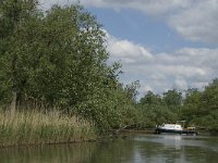 NL, Noord-Brabant, Drimmelen, Gat van de Vloeien 16, Saxifraga-Jan van der Straaten