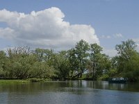 NL, Noord-Brabant, Drimmelen, Keesjes Jan Killeke 1, Saxifraga-Jan van der Straaten