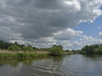 NL, Noord-Brabant, Drimmelen, Middelgat van de Plomp 1, Saxifraga-Jan van der Straaten