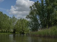 NL, Noord-Brabant, Drimmelen, Vijf Ambachten 2, Saxifraga-Jan van der Straaten