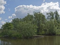 NL, Noord-Brabant, Drimmelen, Zuidergat van de Plomp 1, Saxifraga-Jan van der Straaten