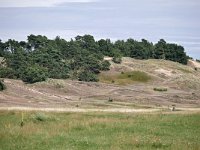 D, Mecklenburg-Vorpommern, Domitz, Binnendünen near Klein Schmolen 7, Saxifraga-Tom Heijnen