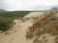 E, Cadiz, Tarifa, Bolonia, Duna de Bolonia 12, Saxifraga-Willem van Kruijsbergen