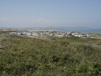 E, Cantabria, Liencres, Dunas de Liencres 59, Saxifraga-Willem van Kruijsbergen