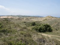 E, Cantabria, Liencres, Dunas de Liencres 72, Saxifraga-Willem van Kruijsbergen