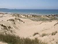 E, Cantabria, Liencres, Dunas de Liencres 81, Saxifraga-Willem van Kruijsbergen