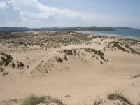 E, Cantabria, Liencres, Dunas de Liencres 82, Saxifraga-Willem van Kruijsbergen