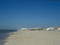 E, Huelva, Almonte, Matelascanas 32, Saxifraga-Jan van der Straaten