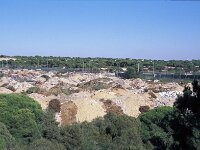 E, Huelva, Almonte, Matelascanas 35, Saxifraga-Jan van der Straaten