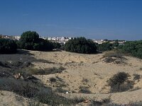 E, Huelva, Almonte, Matelascanas 36, Saxifraga-Jan van der Straaten