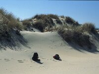 E, Huelva, Almonte, Matelascanas 39, Saxifraga-Jan van der Straaten