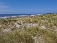 Sandy dunes with Marram grass (Ammophila arenaria) and beach; Burgh-Haamstede, Zeeland, Netherlands  Sandy dunes with Marram grass (Ammophila arenaria) and beach; Burgh-Haamstede, Zeeland, Netherlands : dunes, summer, summertime, spring, springtime, sand, sandy, Westenschouwen, Burgh-Haamstede, Schouwen Duiveland, Zeeland, Holland, Netherlands, Dutch, Europe, European, nature, natural, grass, marram grass, sea grass, Ammophila arenaria, rural, landscape, rural landscape, rural scene, non-urban landscape, non-urban scene, outside, outdoor, outdoors, beach, sea, north sea, sky, blue sky, horizon