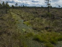 S, Jonkopings lan, Varnamo, Lovo 32, Saxifraga-Jan van der Straaten