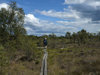 S, Jonkopings lan, Varnamo, Lovo 41, Saxifraga-Marijke Verhagen