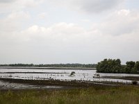 Bargerveen  Veenplas : Bargerveen nature reserve, Bourtanger Moor-Bargerveen International Nature Park