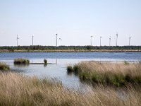 Bargerveen  Bog pool with wind farm in background, Bargerveen, Emmen, Drenthe, Netherlands : Bargerveen nature reserve, Bourtanger Moor-Bargerveen International Nature Park, color colour, Dutch Holland Netherlands, Europe European, horizontal, lake, marsh wetland, nature natural, nature reserve, nobody no people, rural landscape, water