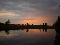 NL, Drenthe, Emmen, Bargerveen 36, Saxifraga-Jan Nijendijk