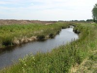 NL, Drenthe, Emmen, Runde, Zwartemeer 1, Saxifraga-Hans Dekker