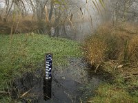 NL, Limburg, Horst aan de Maas, Mariapeel 12, Saxifraga-Jan van der Straaten