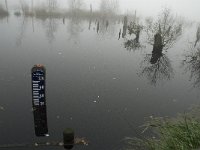 NL, Limburg, Horst aan de Maas, Mariapeel 14, Saxifraga-Jan van der Straaten