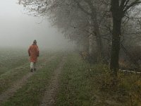 NL, Limburg, Horst aan de Maas, Mariapeel 15, Saxifraga-Jan van der Straaten