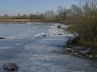 NL, Limburg, Nederweert, Groote Peel 10, Saxifraga-Jan van der Straaten