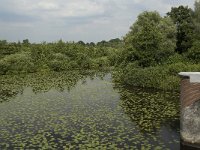 NL, Noord-Brabant, 's Hertogenbosch, Moerputten 31, Saxifraga-Willem van Kruijsbergen